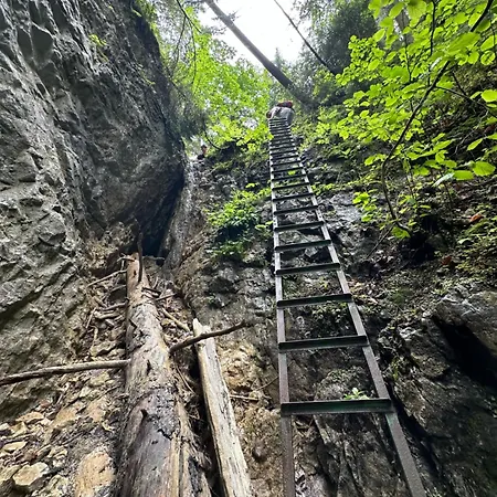 شقة Hacienda A ديدينكي