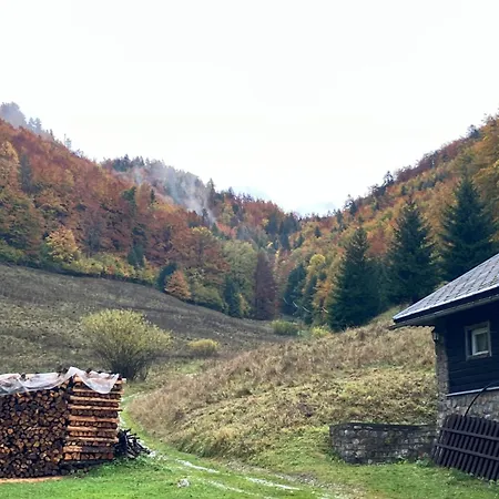 Hacienda A Dedinky
